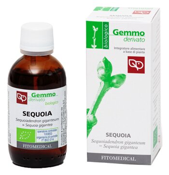 Macerato glicerinato sequoia bio 50 ml
