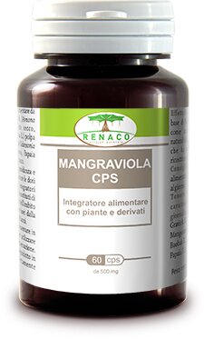 Mangraviola capsule 60 capsule 500 mg