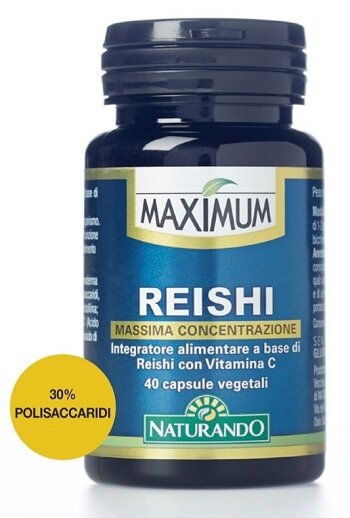 Maximum reishi 40 capsule