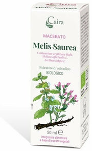Melis-saurea macerato caira