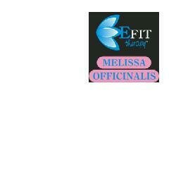 Melissa officinale estratto fluido 30 ml