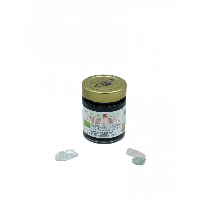 Merlin kanaria linfa palma170g