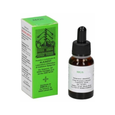 Mgs9 ippocastano mg spg 20ml