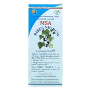 Msa ribes nigrum 50 ml