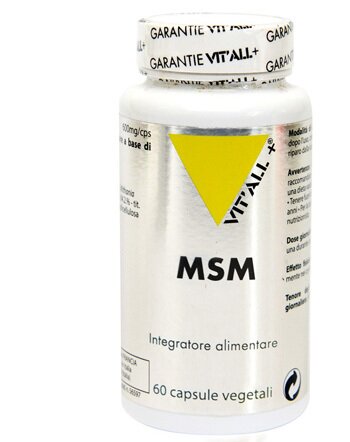 Msm 60 capsule