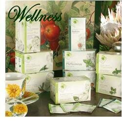 Neuners tisana disintossicante bio 20 bustine