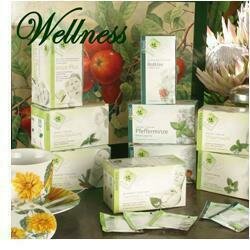 Neuners tisana stomaco bio 20 bustine