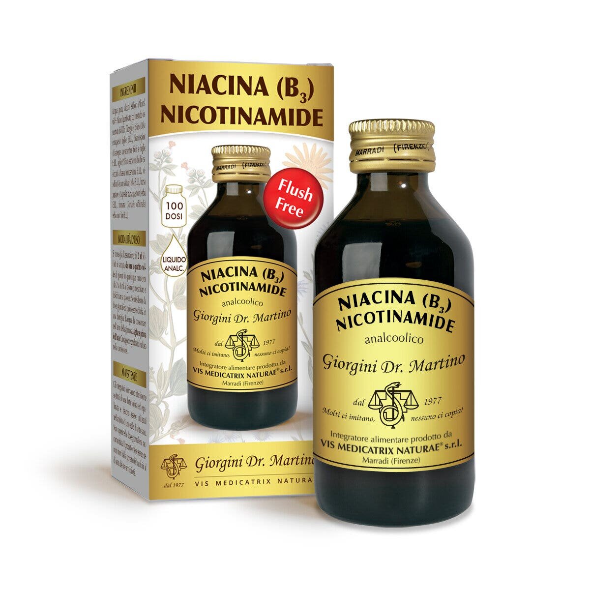 Niacina b3 nicotinamide analc