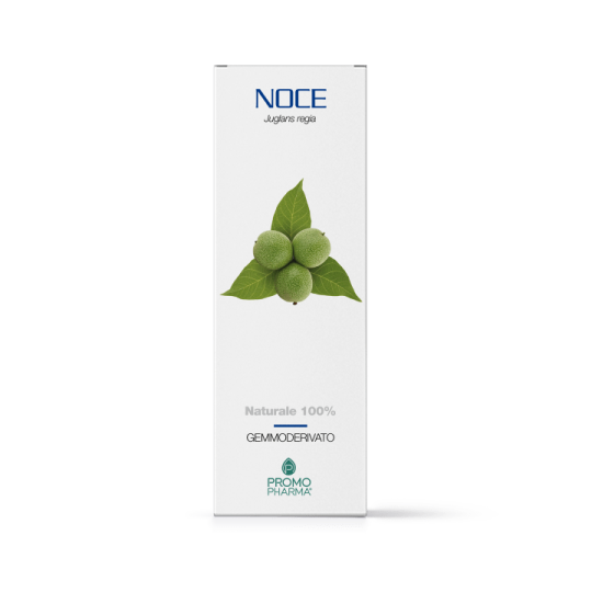 Noce gemmoderivato 50ml