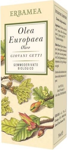 Olea europea olivo bio 50 ml