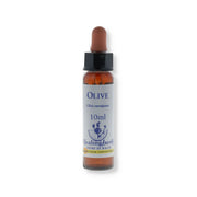 Olive essenza 10ml