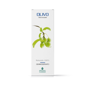 Olivo gemmoderivato 50ml