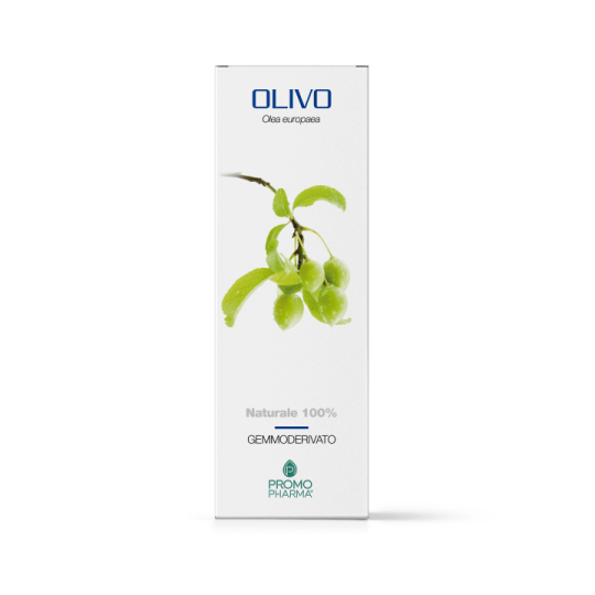 Olivo gemmoderivato 50ml