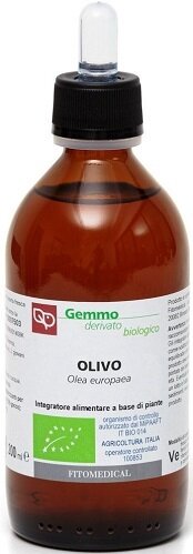 Olivo macerato glicerinato bio 200 ml