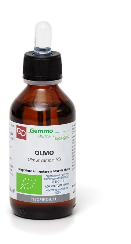 Olmo macerato glicerinato bio 100 ml