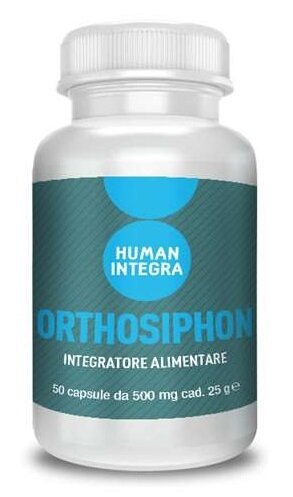 Ortosiphon abros 50 capsule