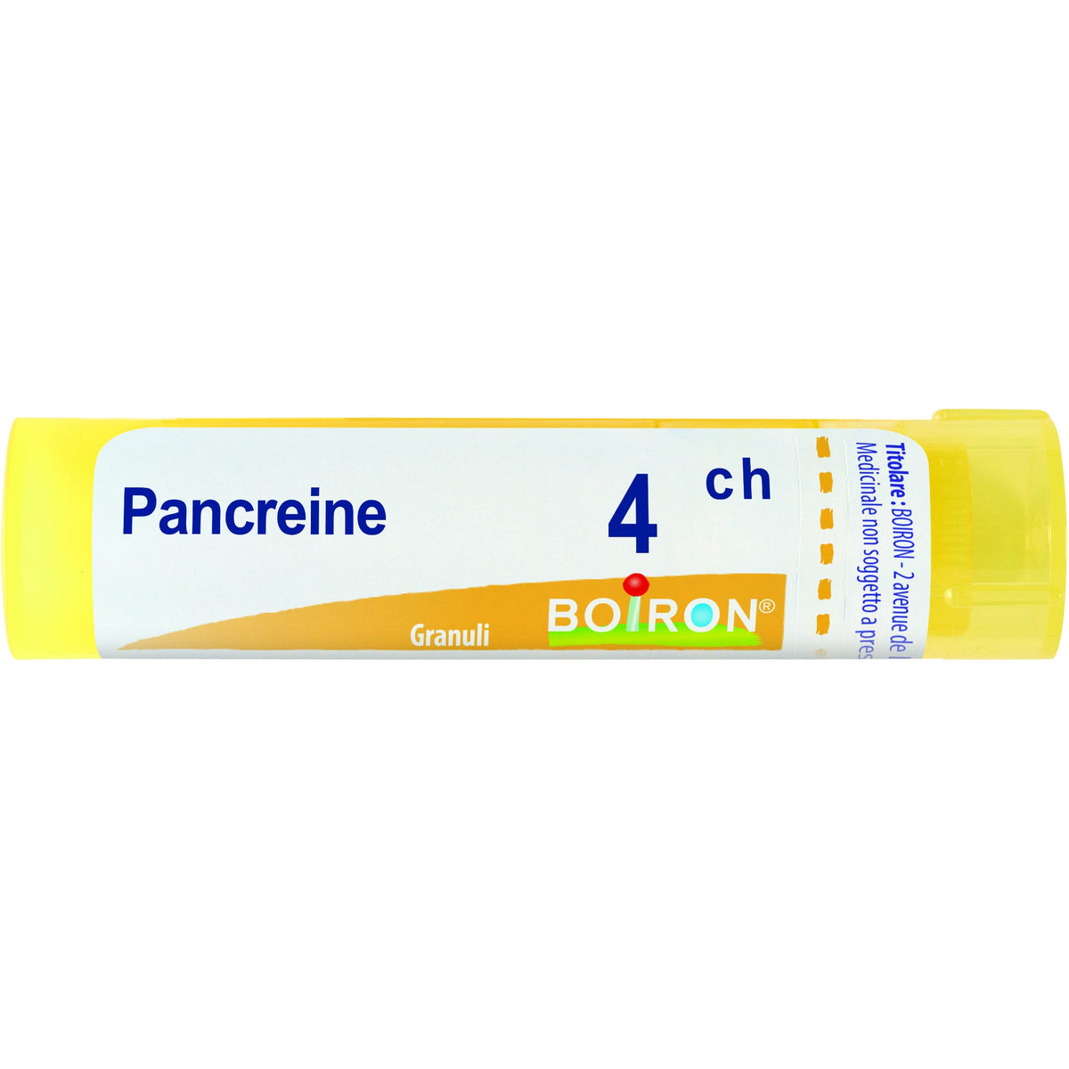 Pancreas 4ch gr