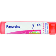 Pancreas 7ch gr
