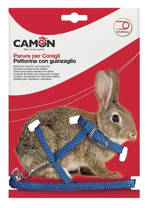 Parure coniglio 10x1200 mm