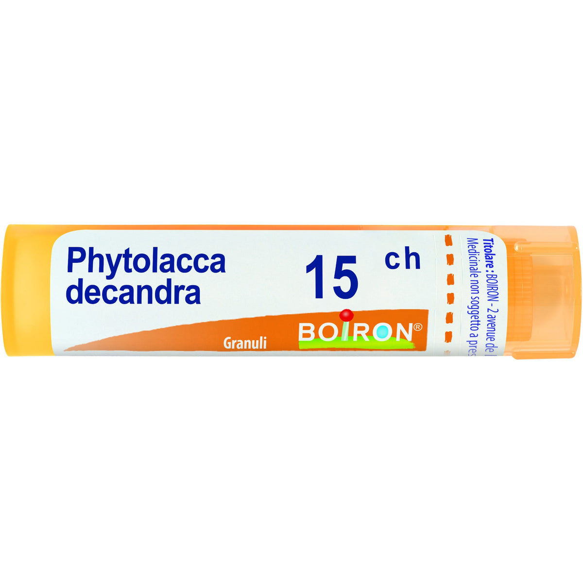 Phytolacca de boi 15ch 80gr