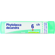 Phytolacca de boi 6ch 80gr
