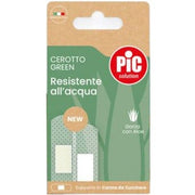 Pic cer green canna aloe mix