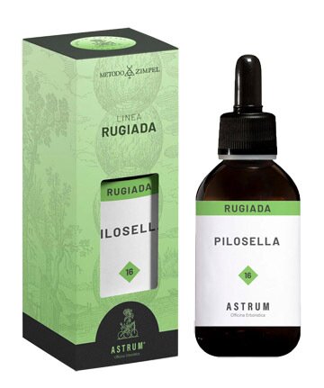 Pilosella astrum rugiada 50 ml