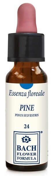 Pine original gocce 10 ml