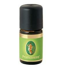 Pino cembro olio essenziale bio 5 ml