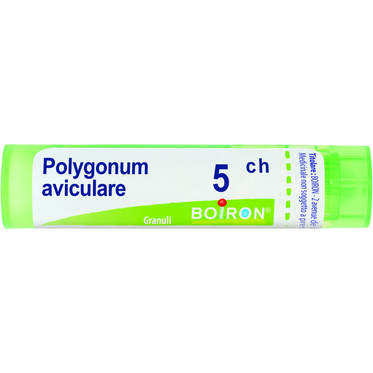 Polygonum aviculare 5ch gr
