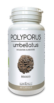 Polyporus umbellatus 60 capsule