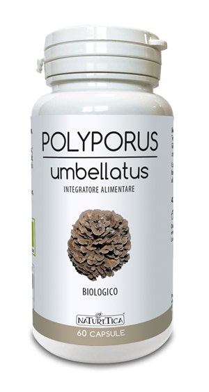 Polyporus umbellatus 60 capsule