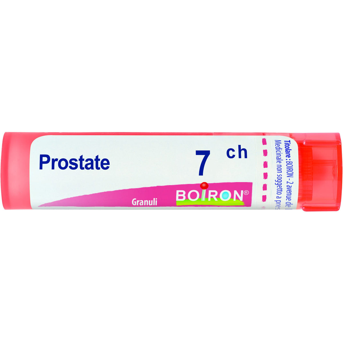 Prostate 7ch gr