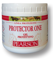 Protector one gel 500ml