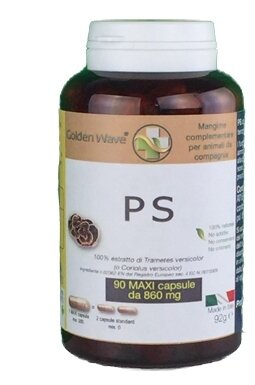 Ps 90 maxi capsule