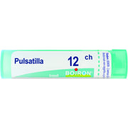 Pulsatilla boi 12ch 80gr 4g