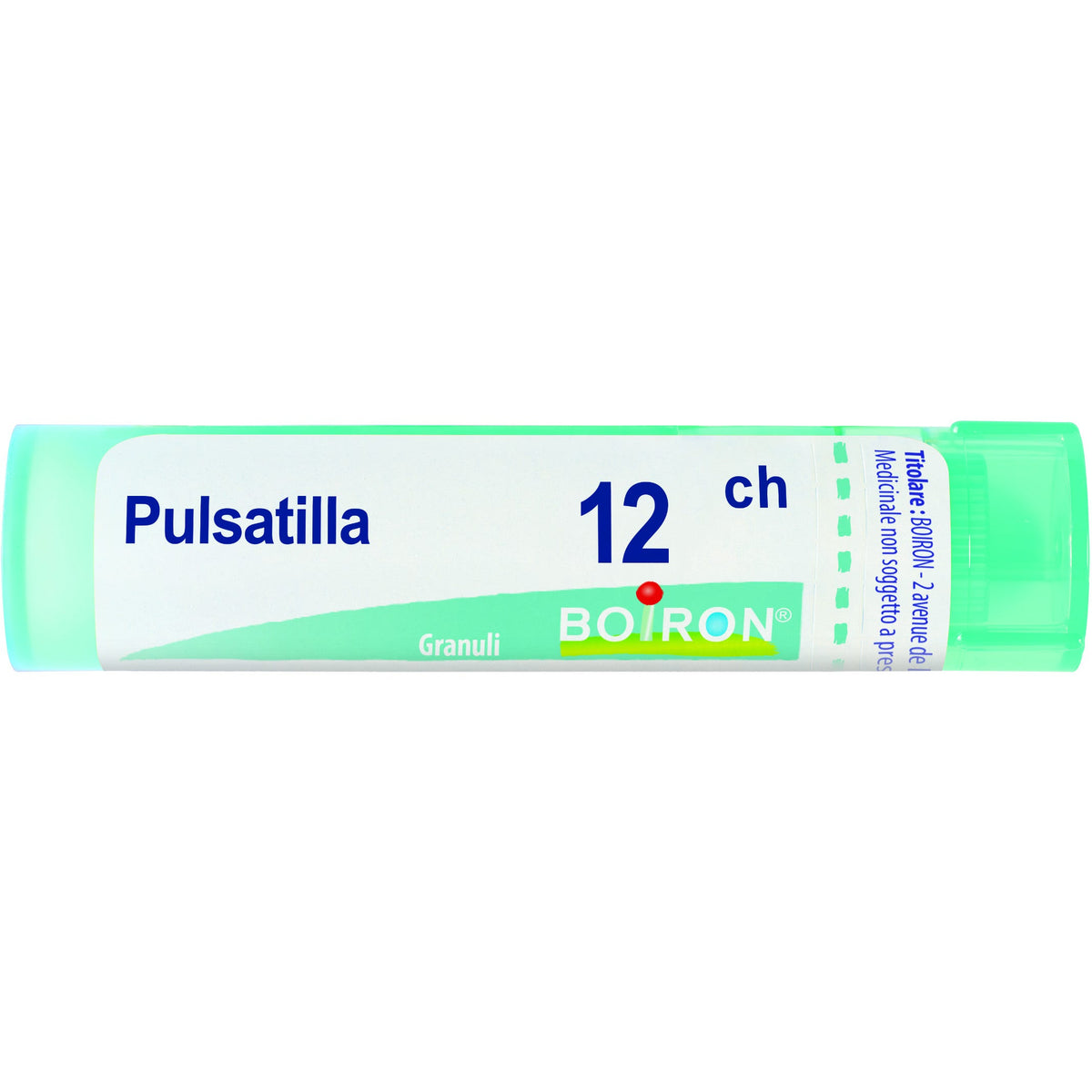 Pulsatilla boi 12ch 80gr 4g