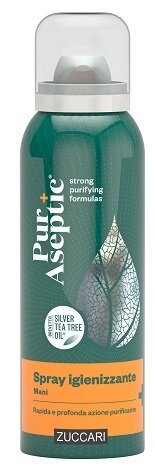 Puraseptic spray igienizzante 100 ml
