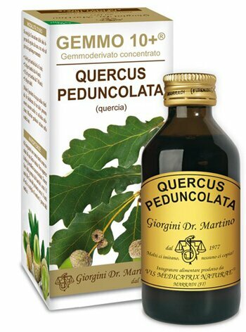 Quercia 100ml analco gemmo 10+