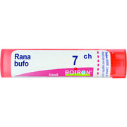 Rana bufo 7ch gr