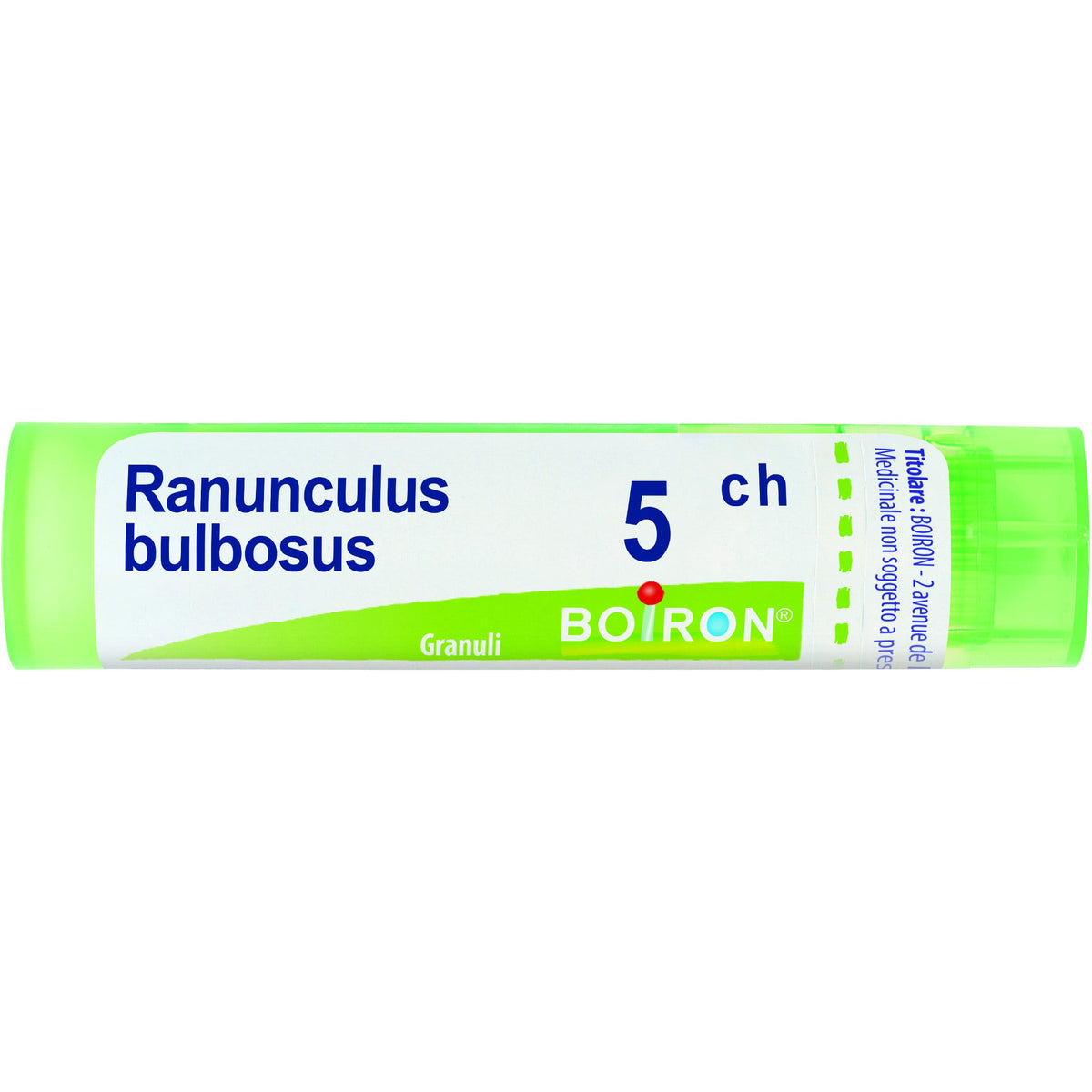 Ranunculus bulbosus 5ch gr