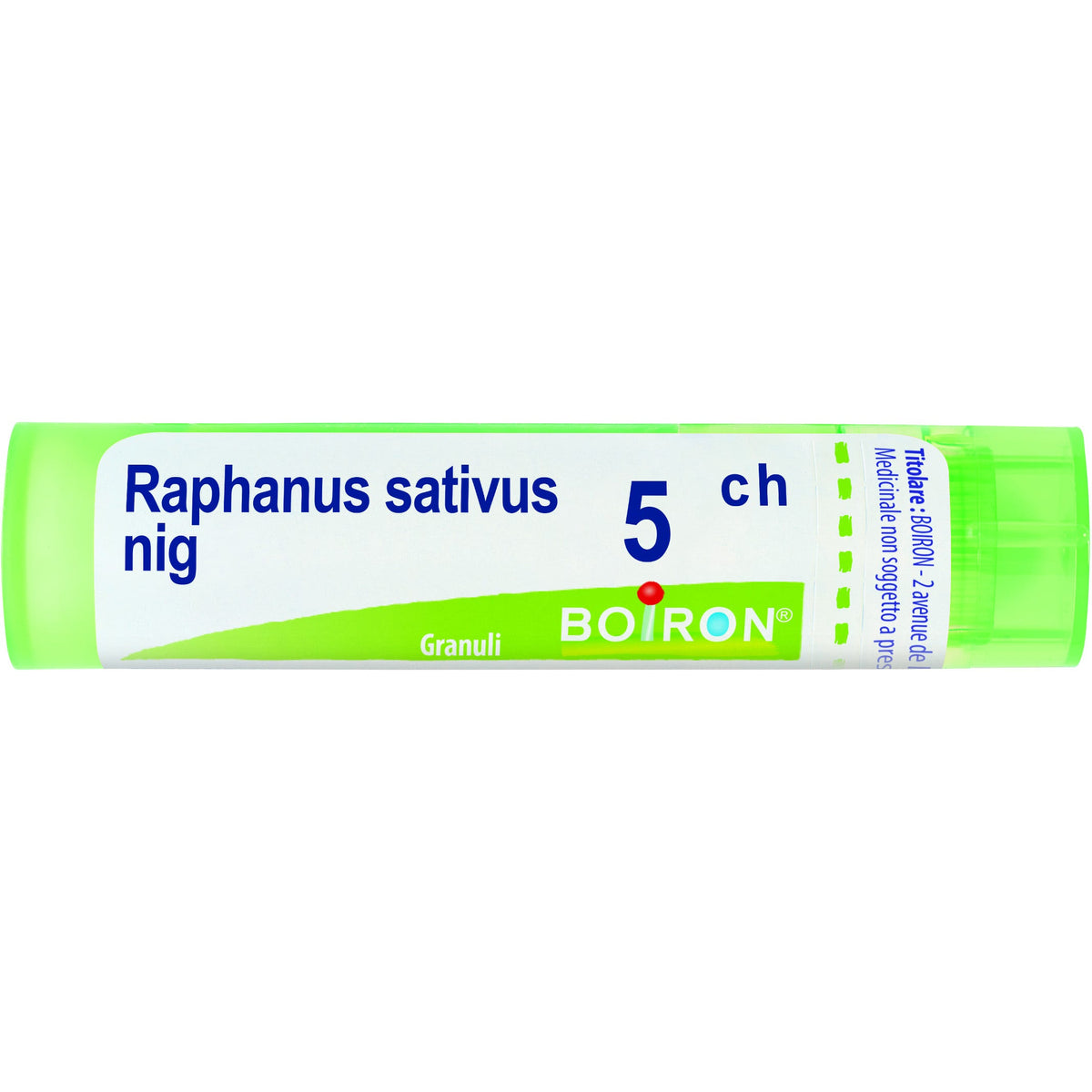 Raphanus sat boi 5ch 80gr 4g