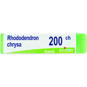Rhododendron chrysan 200ch gl