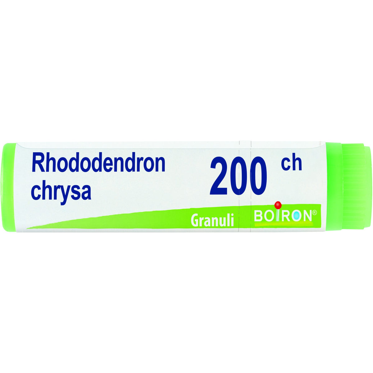 Rhododendron chrysan 200ch gl
