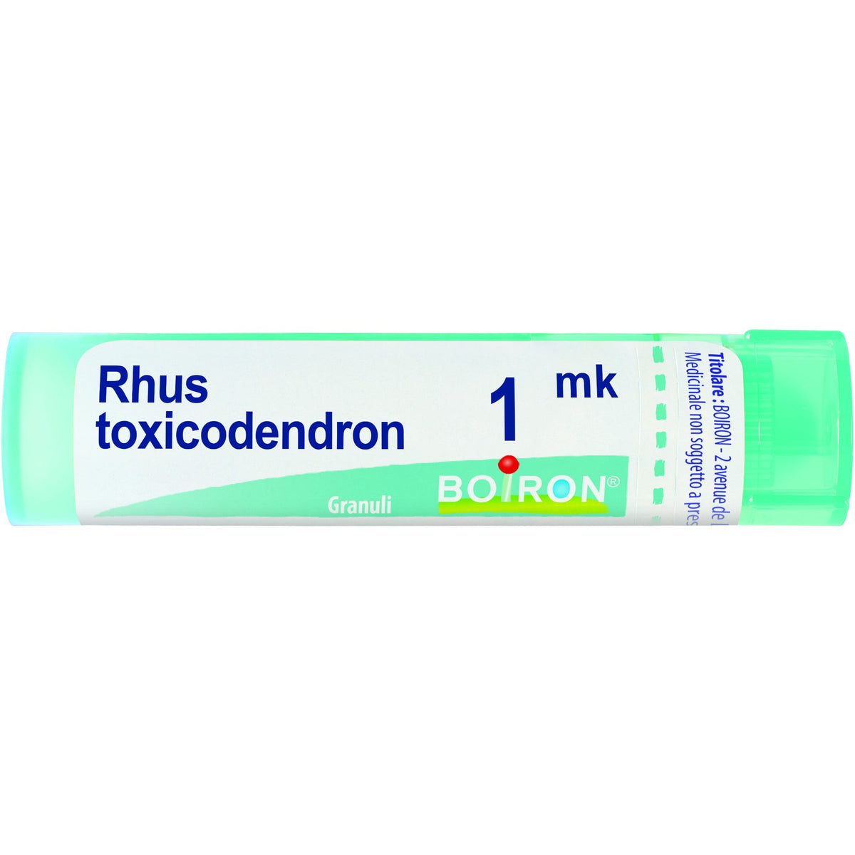 Rhus toxicod boi 1000k 80gr