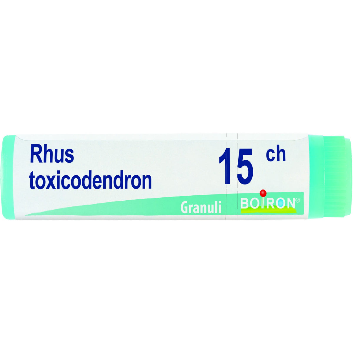 Rhus toxicod boi 15ch gl 1g