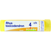 Rhus toxicod boi 4ch 80gr 4g