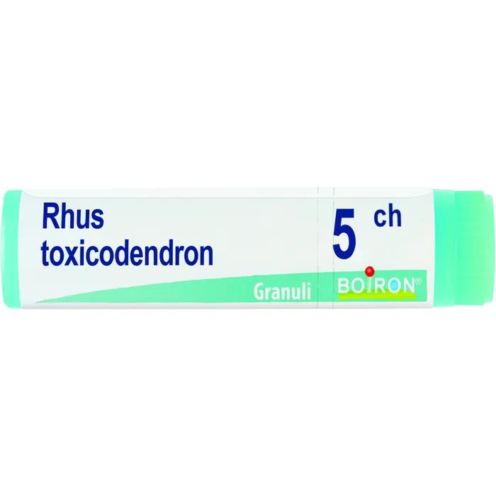 Rhus toxicod boi 5ch gl 1g