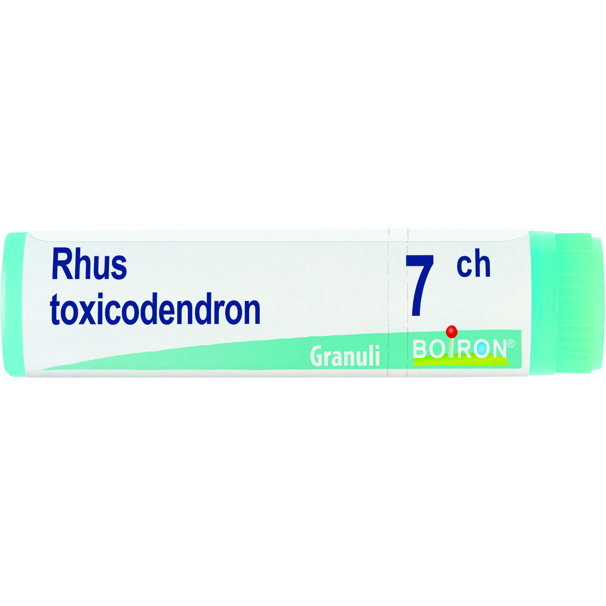 Rhus toxicod boi 7ch gl 1g