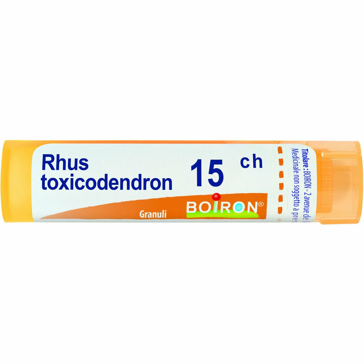 Rhus toxicodendron 15ch 80gr4g